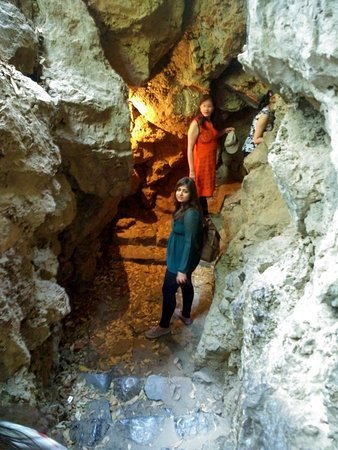 Eco Cave Gardens